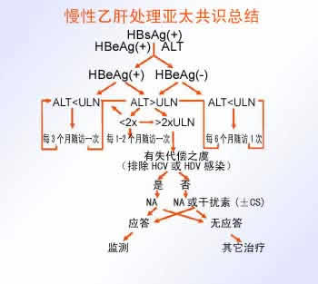 亚太肝病学会对慢性乙肝治疗的十大建议