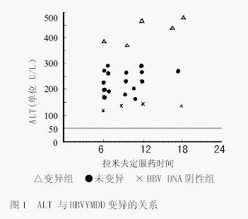 基因芯片检测拉米夫定治疗慢性乙型肝炎中HBVYMDD变异25例