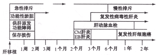 肝移植术并发症的病理变化