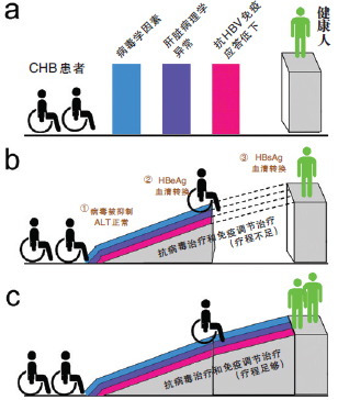 抗乙肝治疗的“爬坡假说”