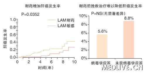 耐药增加肝癌发生率，即使有效挽救治疗也难以降低相关风险 2011年慢乙肝抗病毒治疗的进展