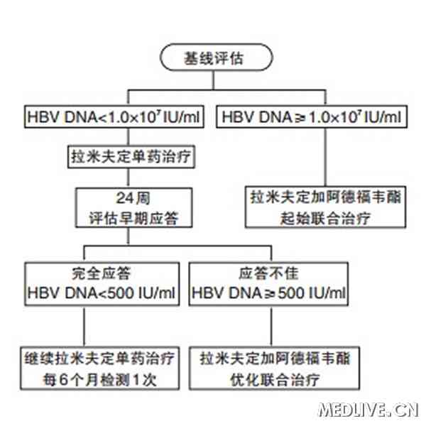 HBeAg阳性初治患者的拉米夫定优化治疗示意图 hspace=0