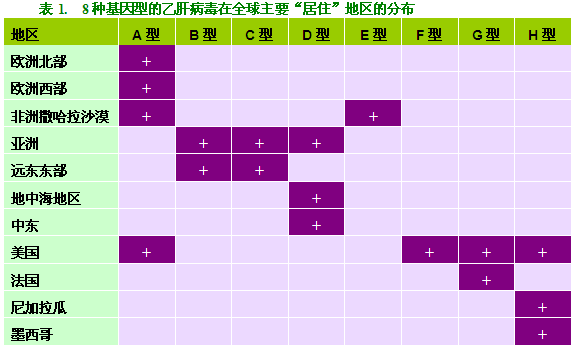 8种基因型的乙肝病毒在全球主要分布 hspace=0