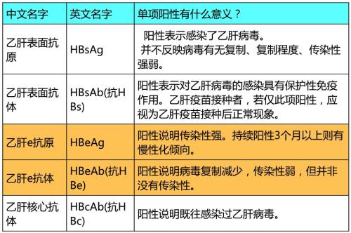 乙肝检查一五项阳性