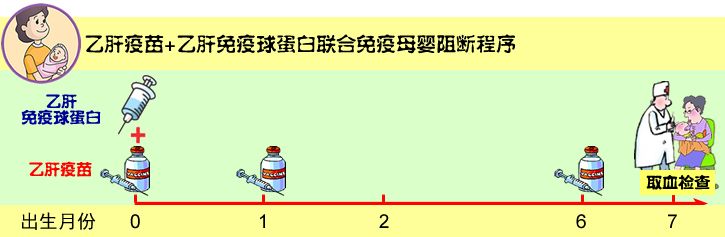 乙肝母婴阻断成功的标准