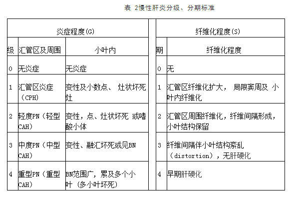 慢性乙肝程度分级