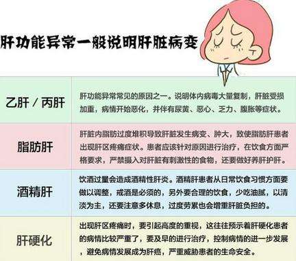 如何看懂肝功能检查结果分析