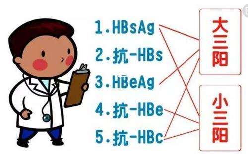 乙肝病情轻重分为几个阶段？