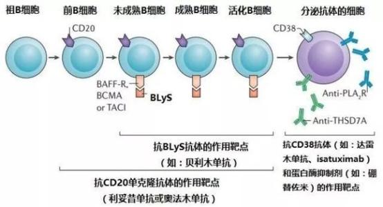 乙型病毒性肝炎治疗常用的几种治疗方法