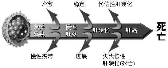 怎样调养能减少乙肝危害？