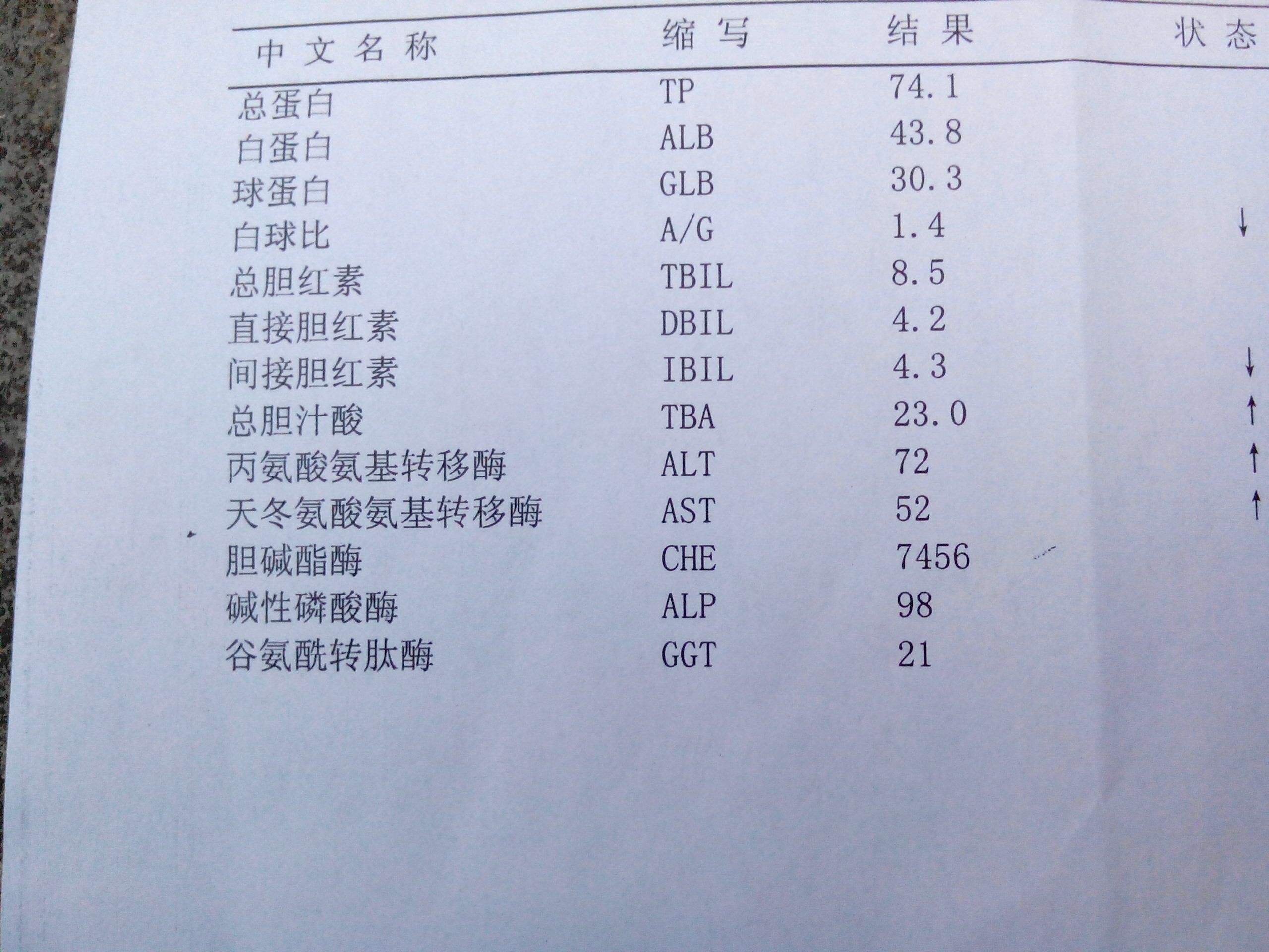 乙肝结果怎么查看？