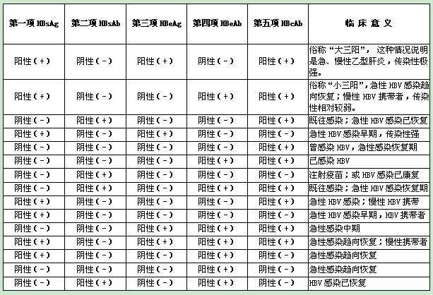 乙肝两对半对照表