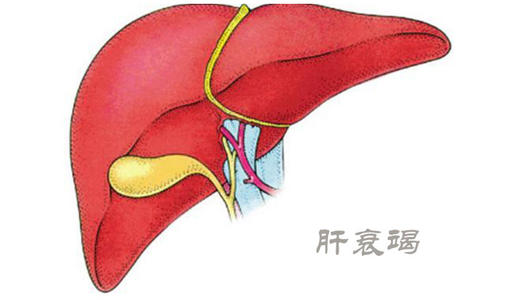 乙肝患者容易多想些什么？