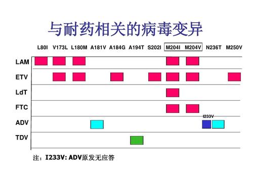 如何避免乙肝耐药？