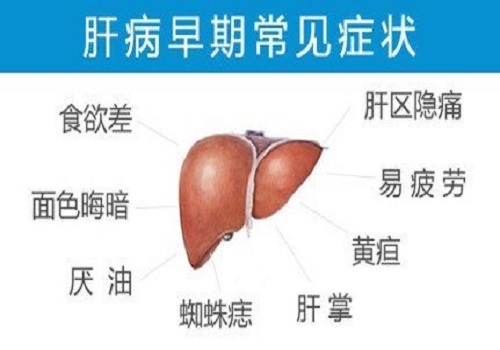 乙肝病毒携带者分为哪几种？