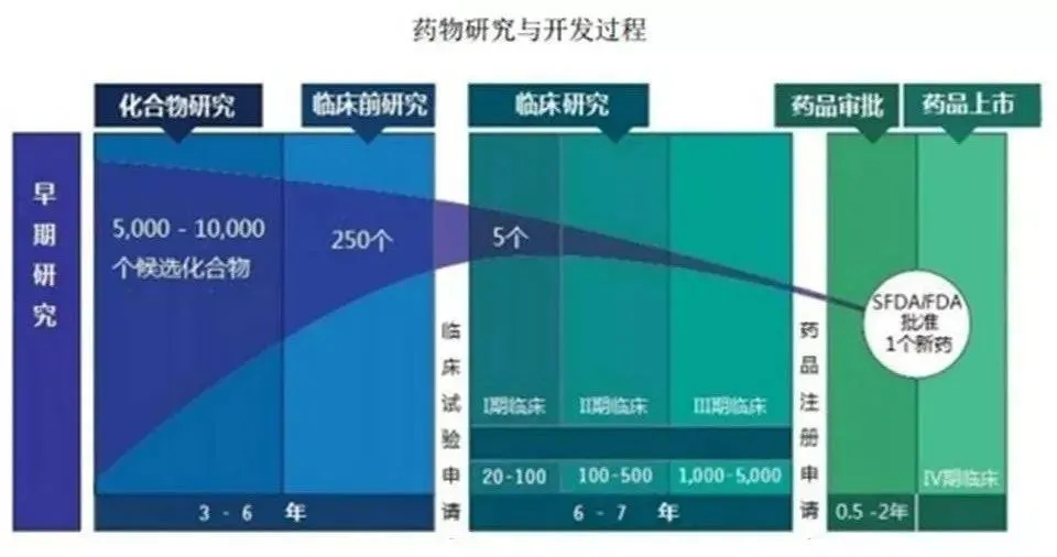 浅谈2021乙肝新药研发进展以及过程