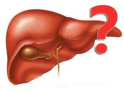 肝炎饮食上需要注意些什么呢